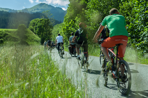 E-Bike Festival